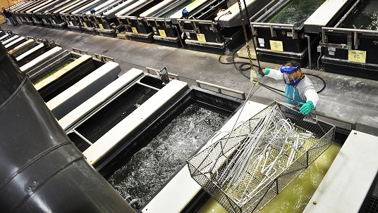 Pickling and electroplating line